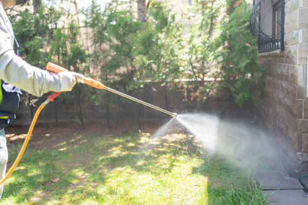 Best Pest Control Near Me in Palm Coast, FL